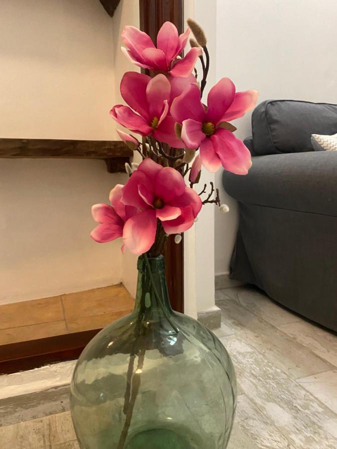 Apartamento La Pepa - Santa Cruz De La Palma Санта Круз де Ла Палма Екстериор снимка